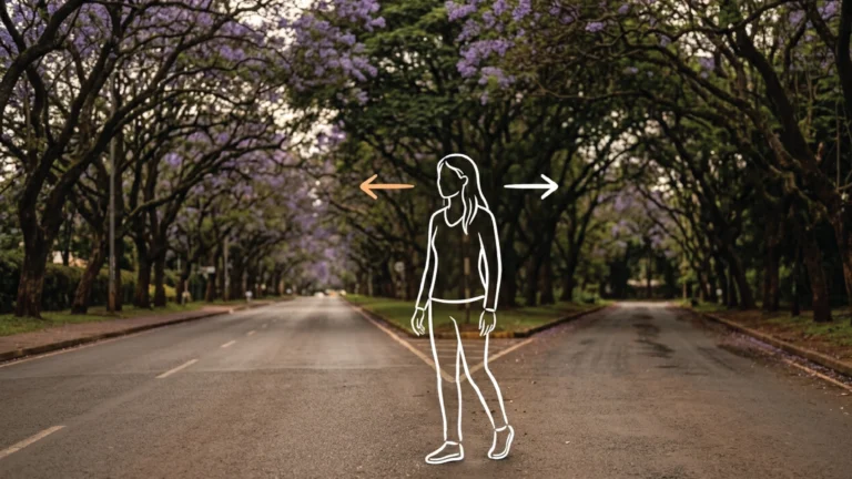 A tree-lined Nairobi avenue splitting into two distinct paths, jacaranda trees arching overhead, warm overcast light on dark tarmac