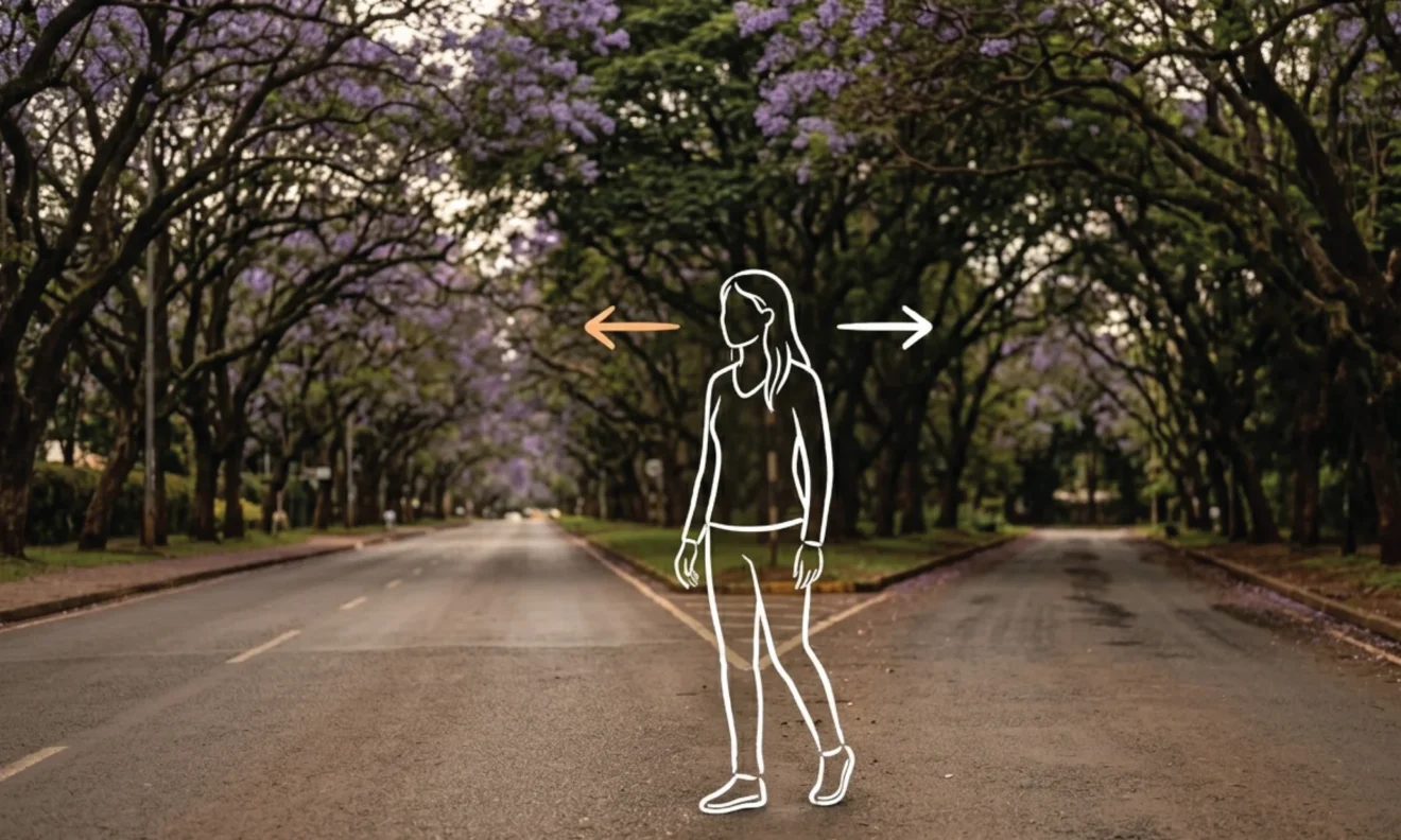 A tree-lined Nairobi avenue splitting into two distinct paths, jacaranda trees arching overhead, warm overcast light on dark tarmac