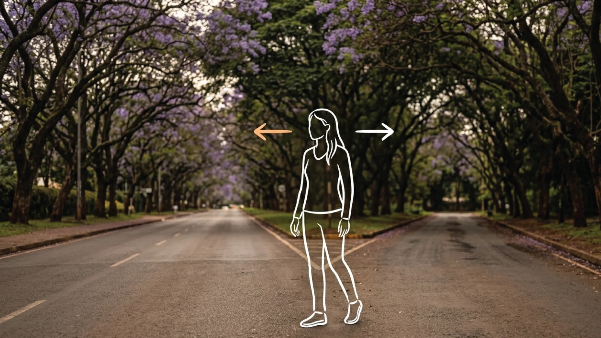 A tree-lined Nairobi avenue splitting into two distinct paths, jacaranda trees arching overhead, warm overcast light on dark tarmac
